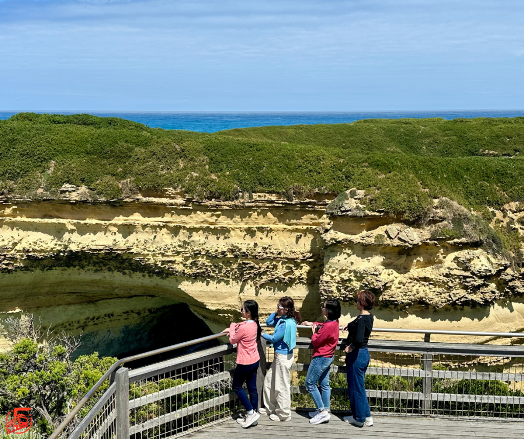 5T travel & transport