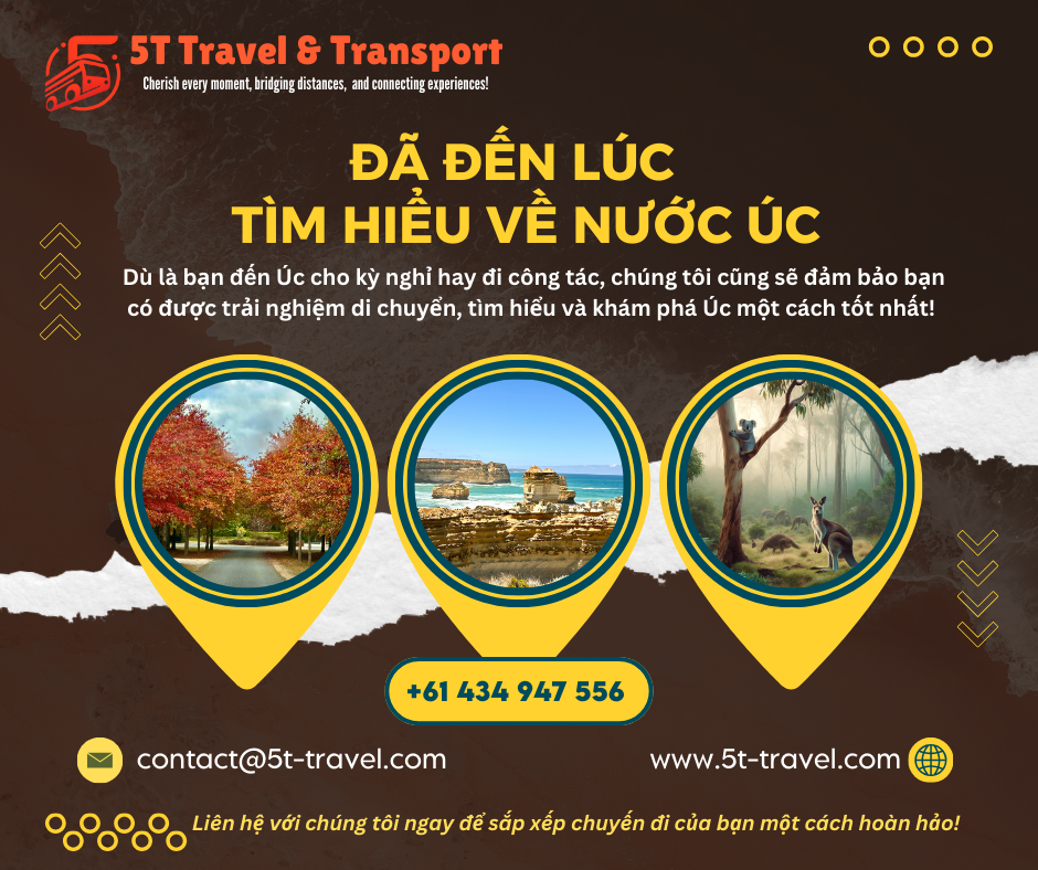 5T Travel & Transport